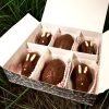 Húsvéti praliné válogatás 135g