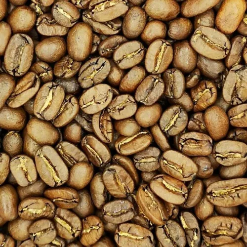 Nicaragua Superior Giants Maragogype kávé 100g kraft tasakban