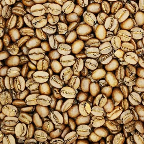 Brazília Fazenda Lagoa kávé 100G