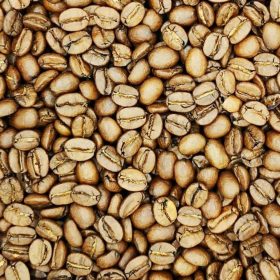 Brazília Fazenda Lagoa kávé 100g