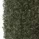 Japán Sencha Zöld Tea  100G