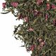Sakura cseresznyés zöld tea 100G